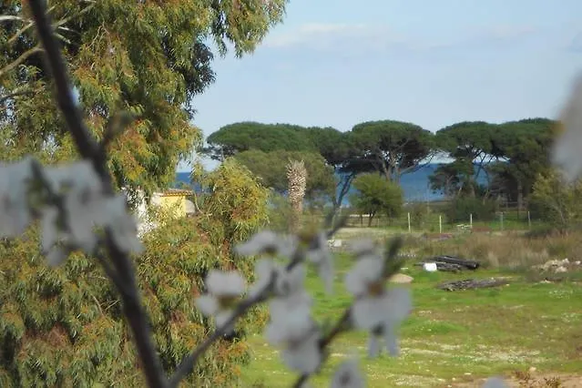 Trilo 350M Dalla Spiaggia Vista Mare Budoniaffitti Σπίτι διακοπών